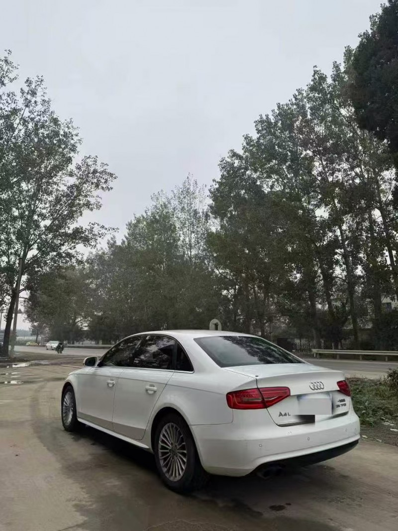 菏泽14年奥迪A4L8