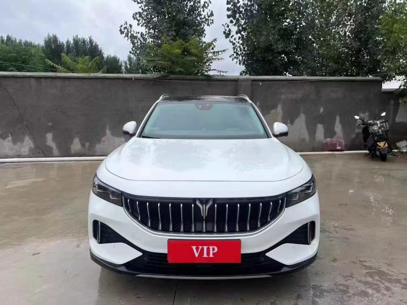 枣庄22年岚图汽车FREE1