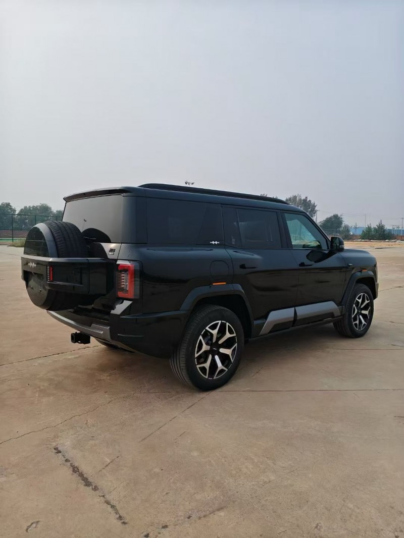 衡水25年比亚迪方程豹8