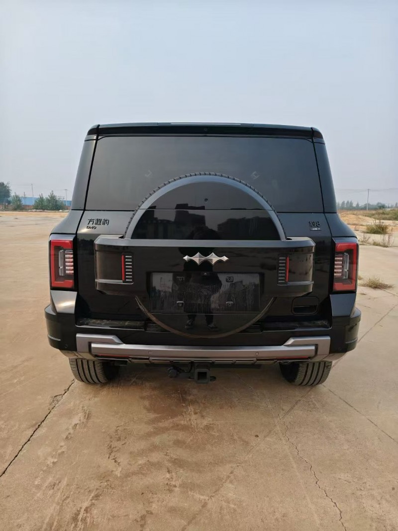 衡水25年比亚迪方程豹9