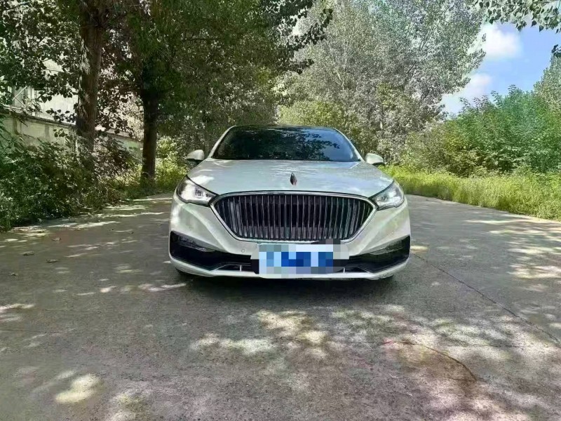 亳州19年红旗H51