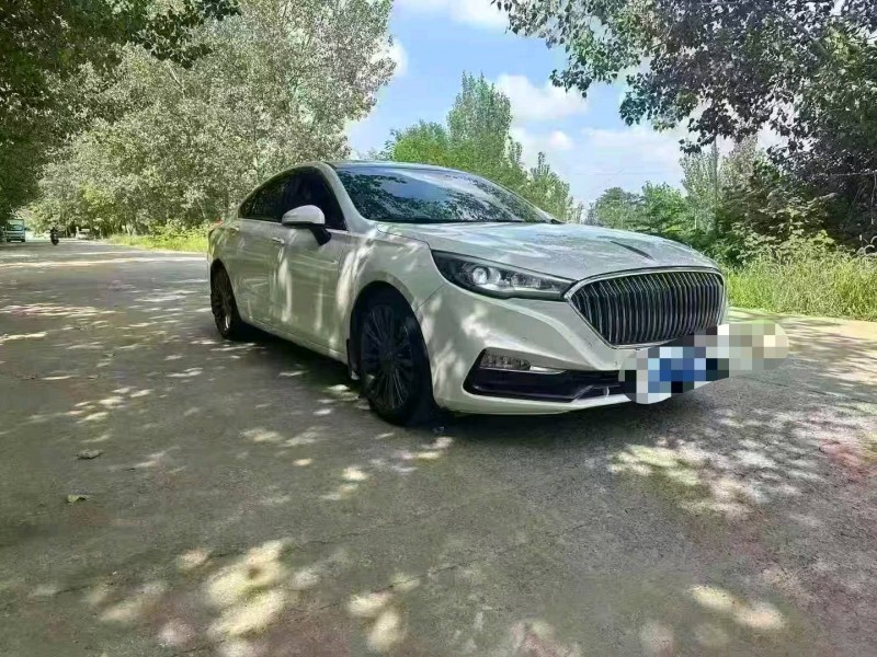 亳州19年红旗H52