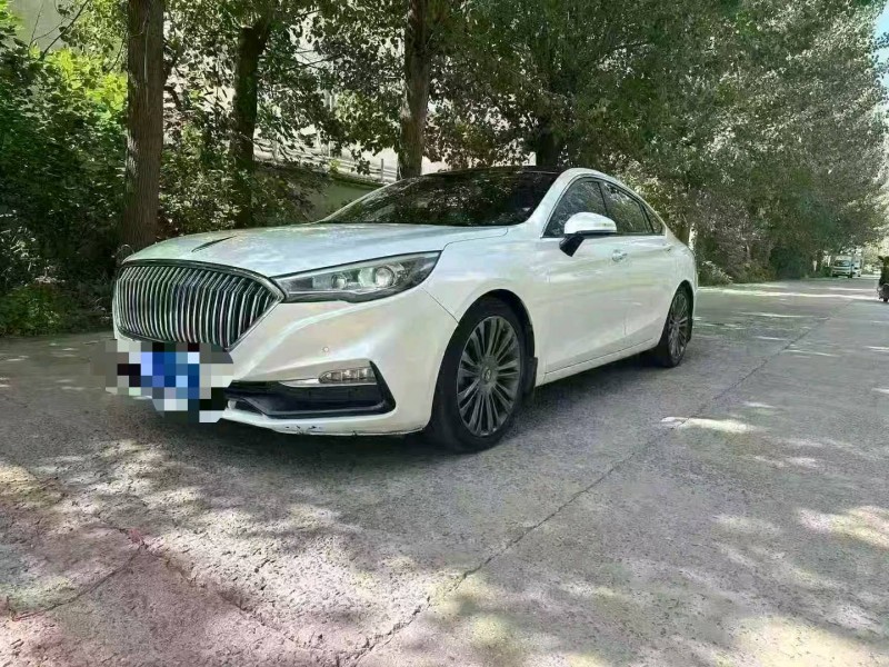 亳州19年红旗H53