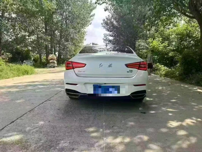 亳州19年红旗H59