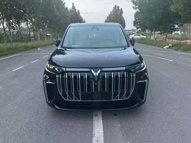 枣庄23年岚图汽车梦想家1