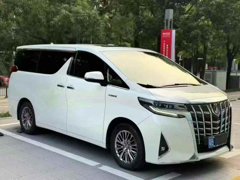 广州20年丰田埃尔法2