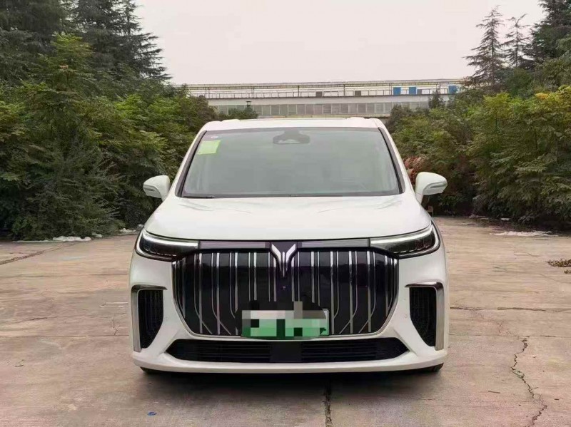 枣庄22年岚图汽车梦想家1