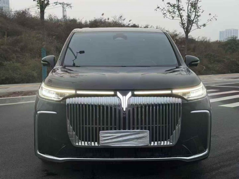 邢台25年岚图汽车梦想家1