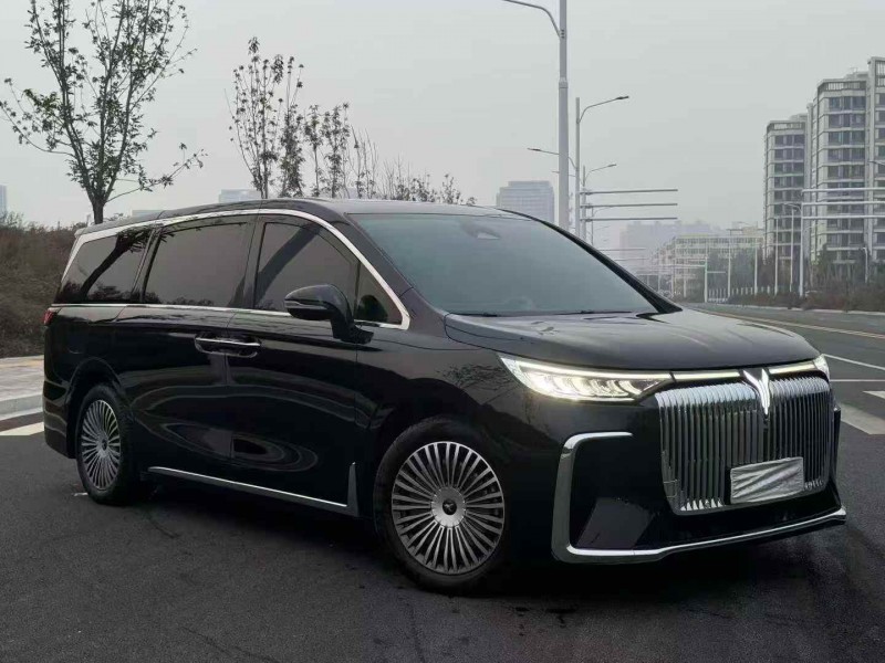 邢台25年岚图汽车梦想家2