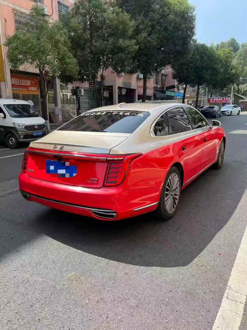 湘潭20年红旗H98