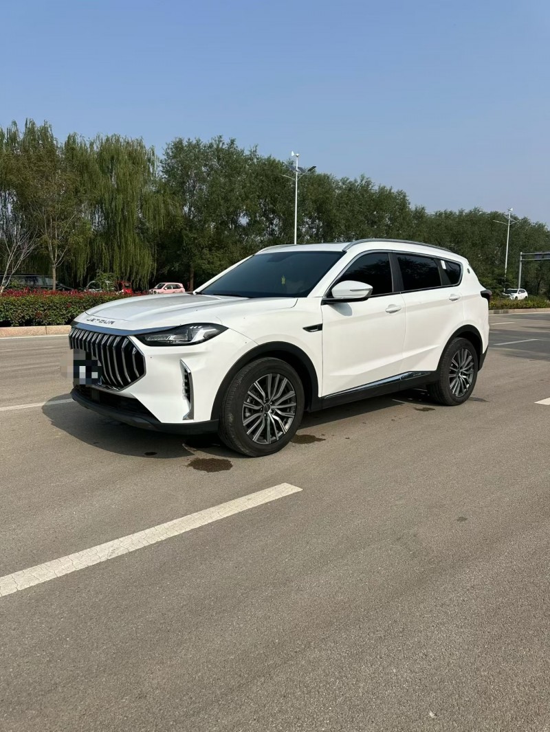 枣庄24年奇瑞捷途3