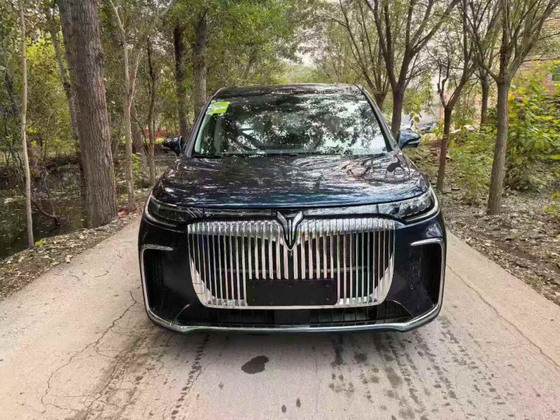 秦皇岛25年岚图汽车梦想家1