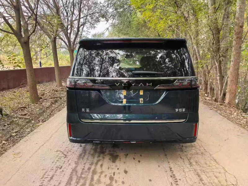 秦皇岛25年岚图汽车梦想家7