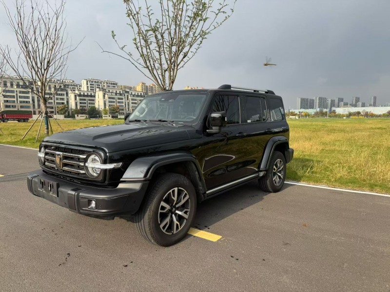 徐州23年长城汽车坦克2