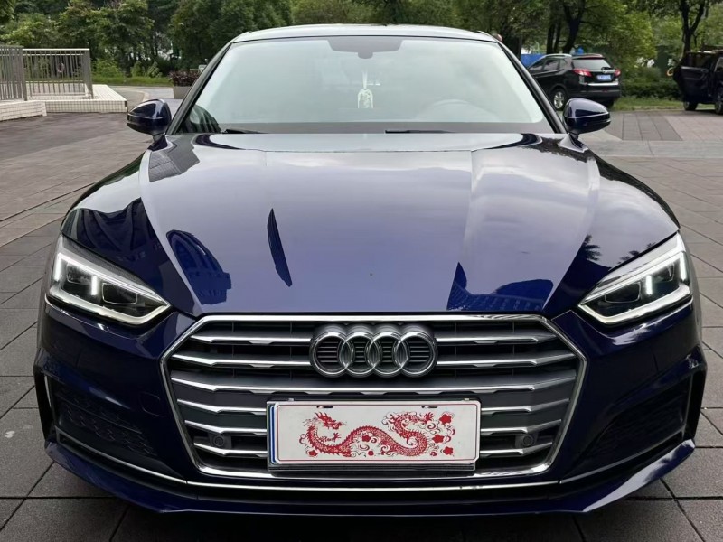 佛山20年奥迪A51