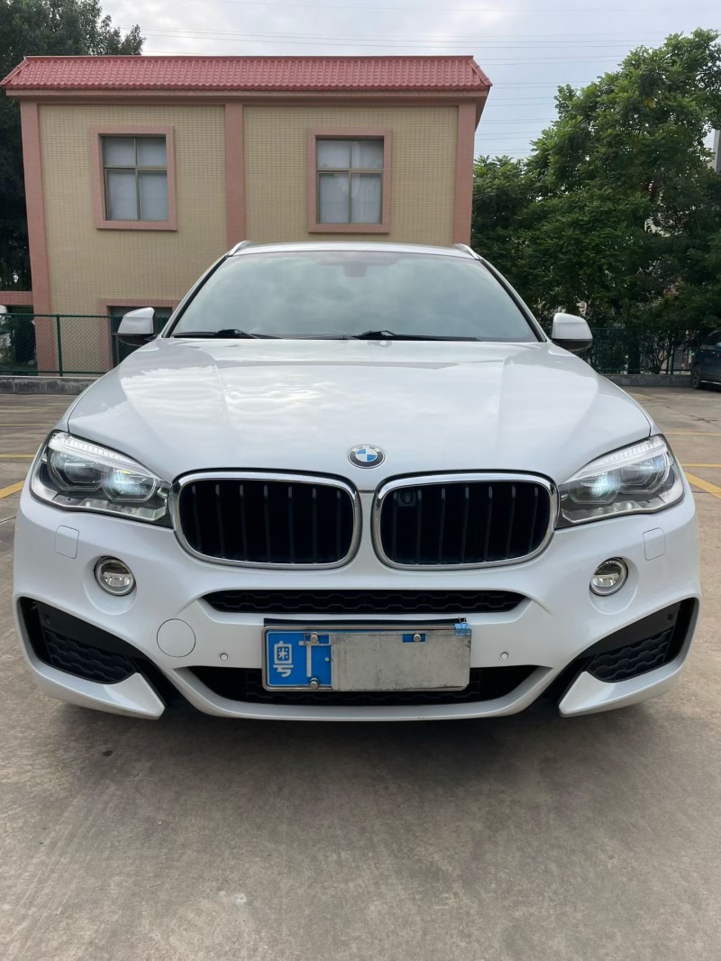 中山17年宝马X61