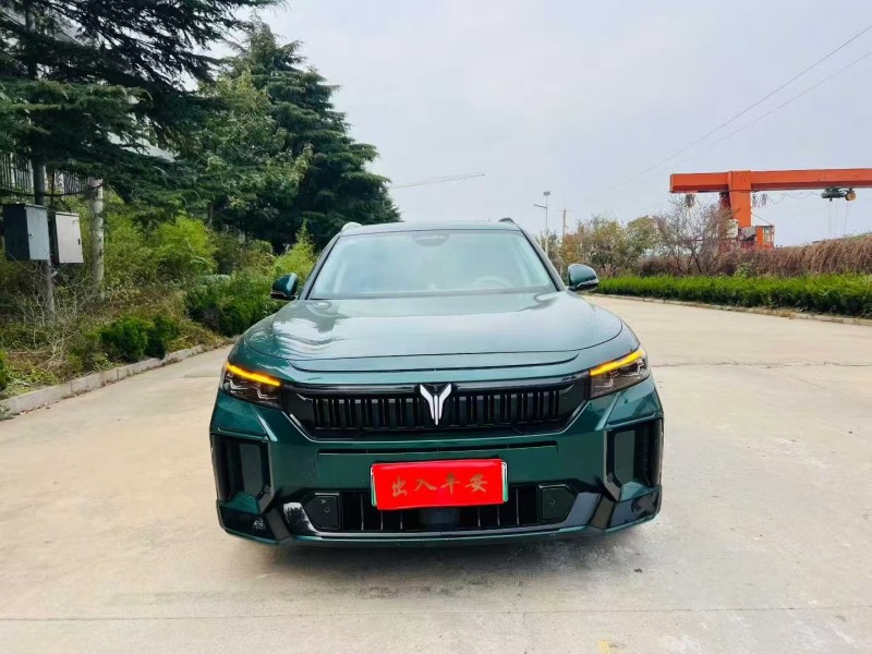 烟台24年岚图汽车FREE1