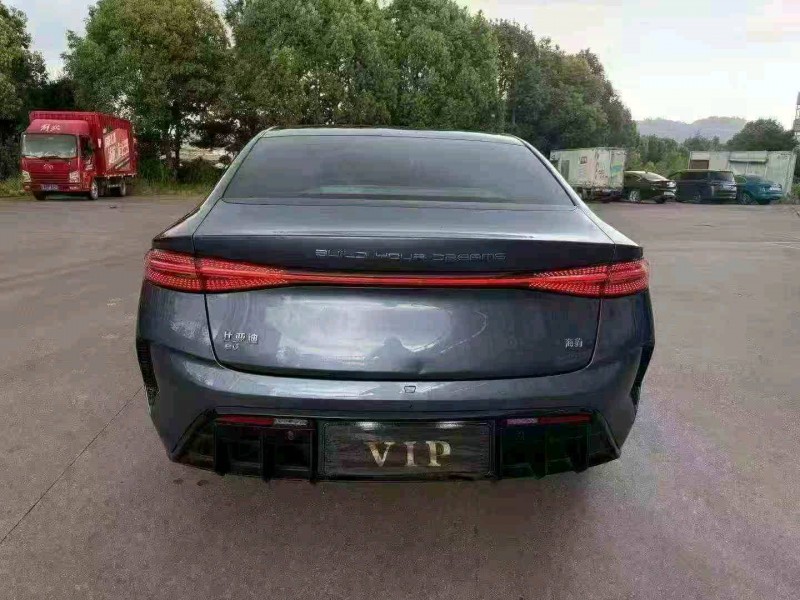温州24年比亚迪海豹8