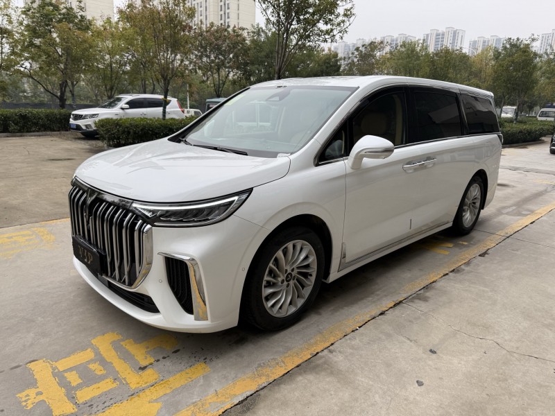 济宁25年岚图汽车梦想家3