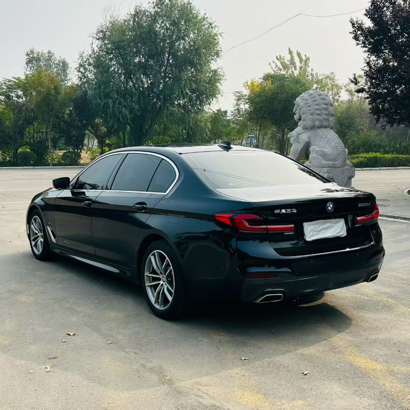 聊城20年宝马5系8