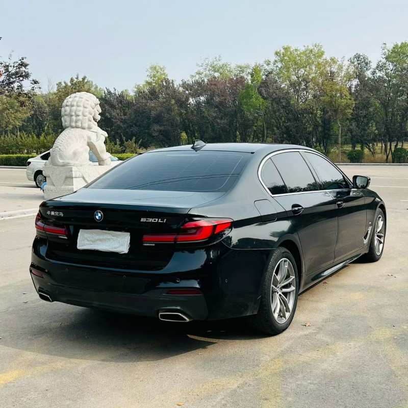 聊城20年宝马5系9