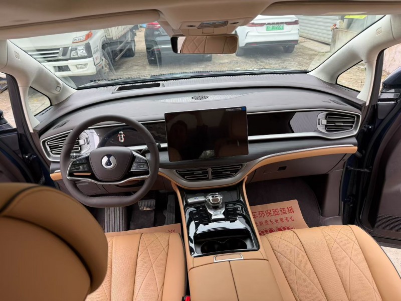 徐州25年腾势D95