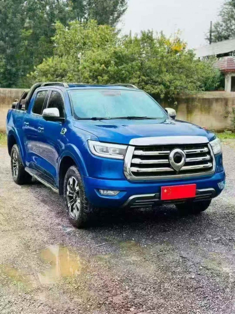 安阳21年长城汽车炮 皮卡3