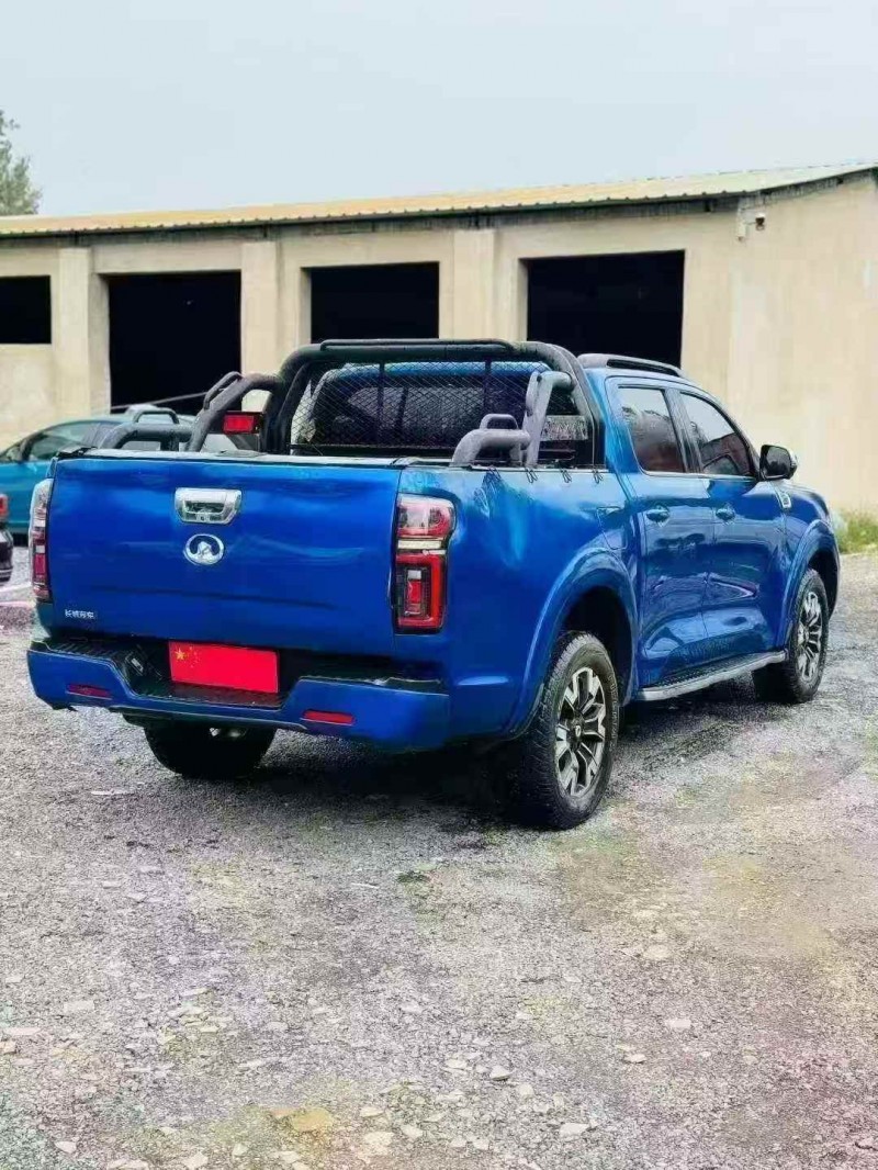 安阳21年长城汽车炮 皮卡8