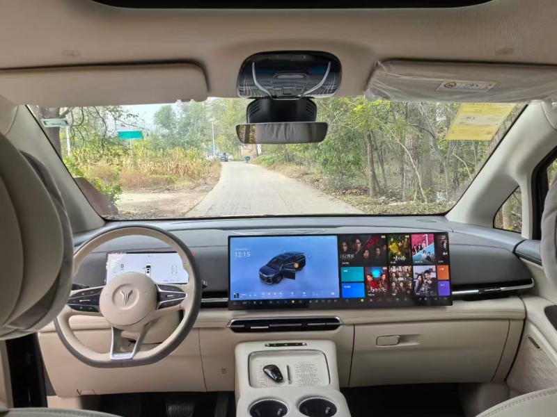 沧州25年岚图汽车梦想家4