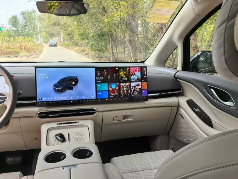 沧州25年岚图汽车梦想家9