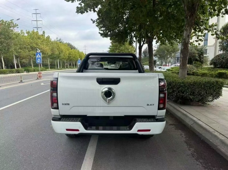 泰安25年长城汽车风骏9