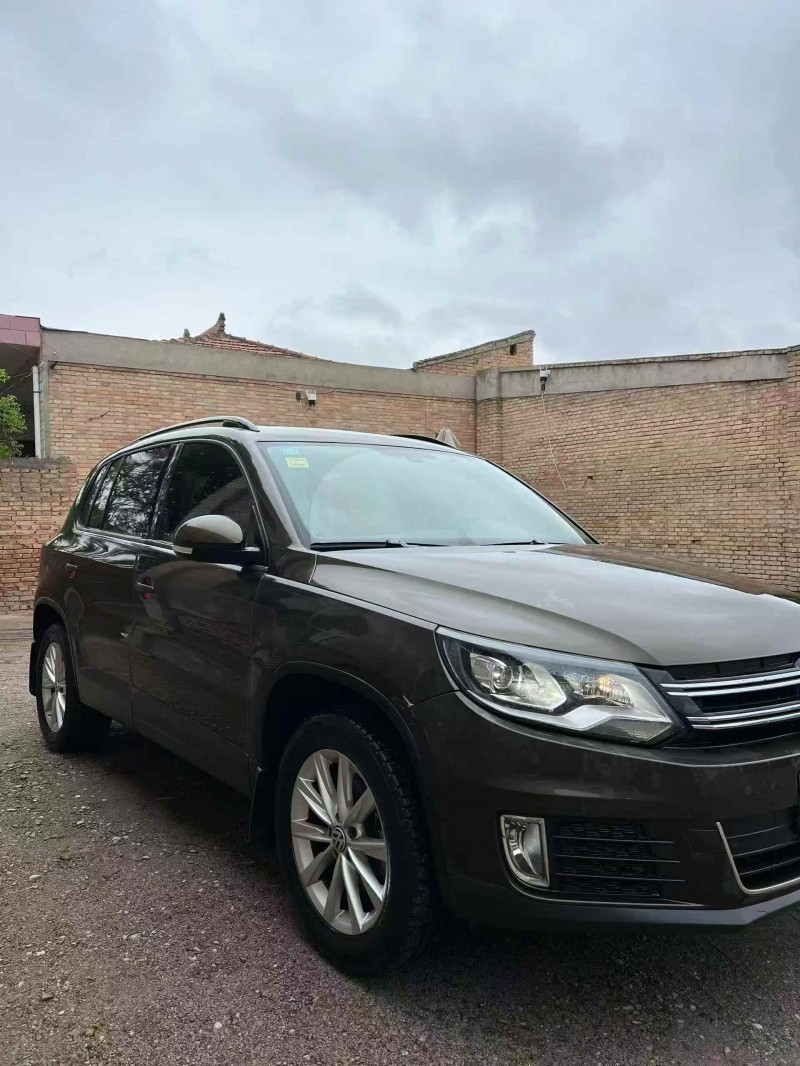 平顶山18年大众途观3