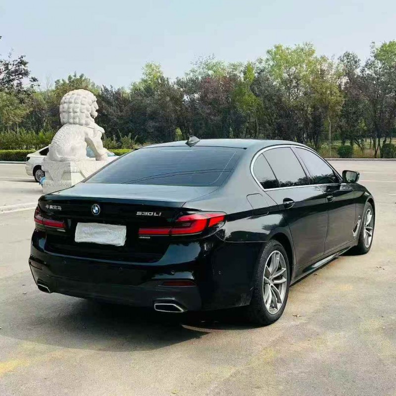 东营20年宝马5系9
