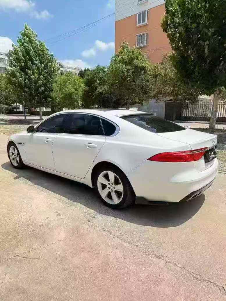 烟台19年捷豹XFL8