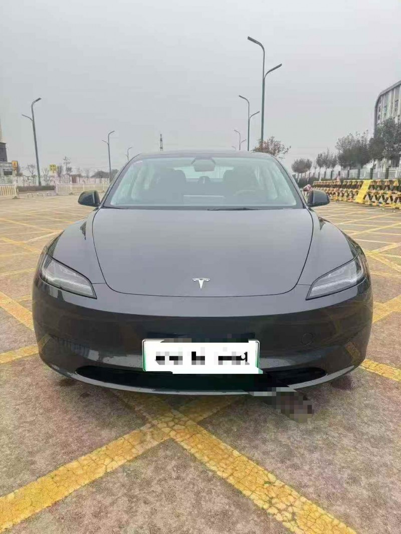 保定25年特斯拉MODEL 31