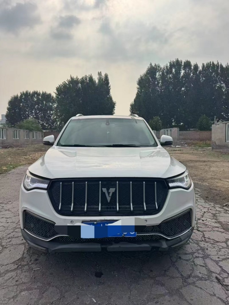 鹤壁18年众泰T8001