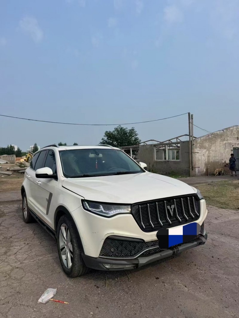 鹤壁18年众泰T8002