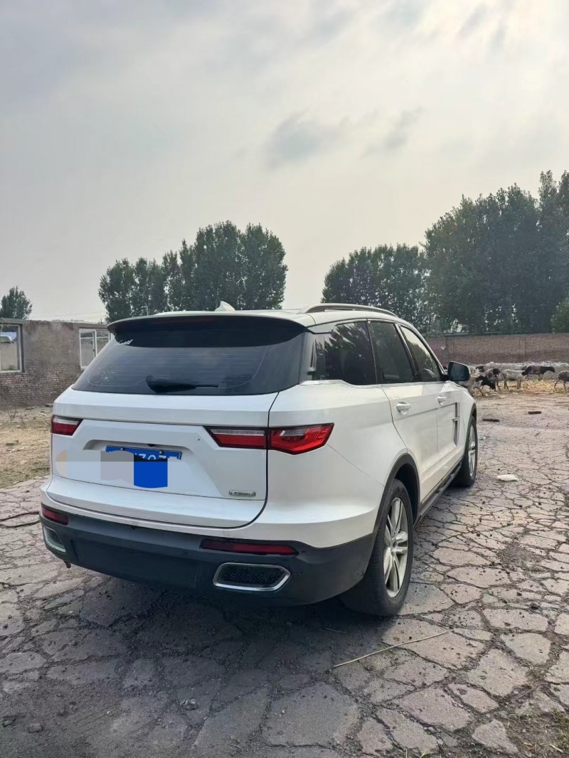 鹤壁18年众泰T8003