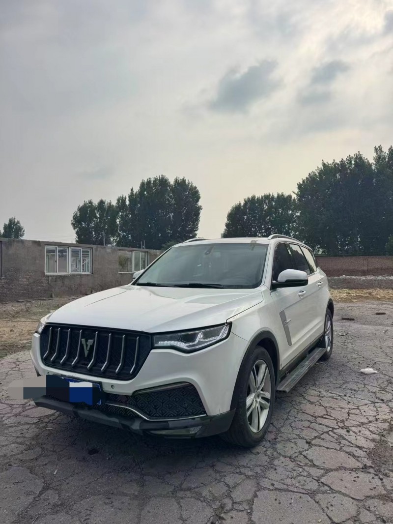 鹤壁18年众泰T8004