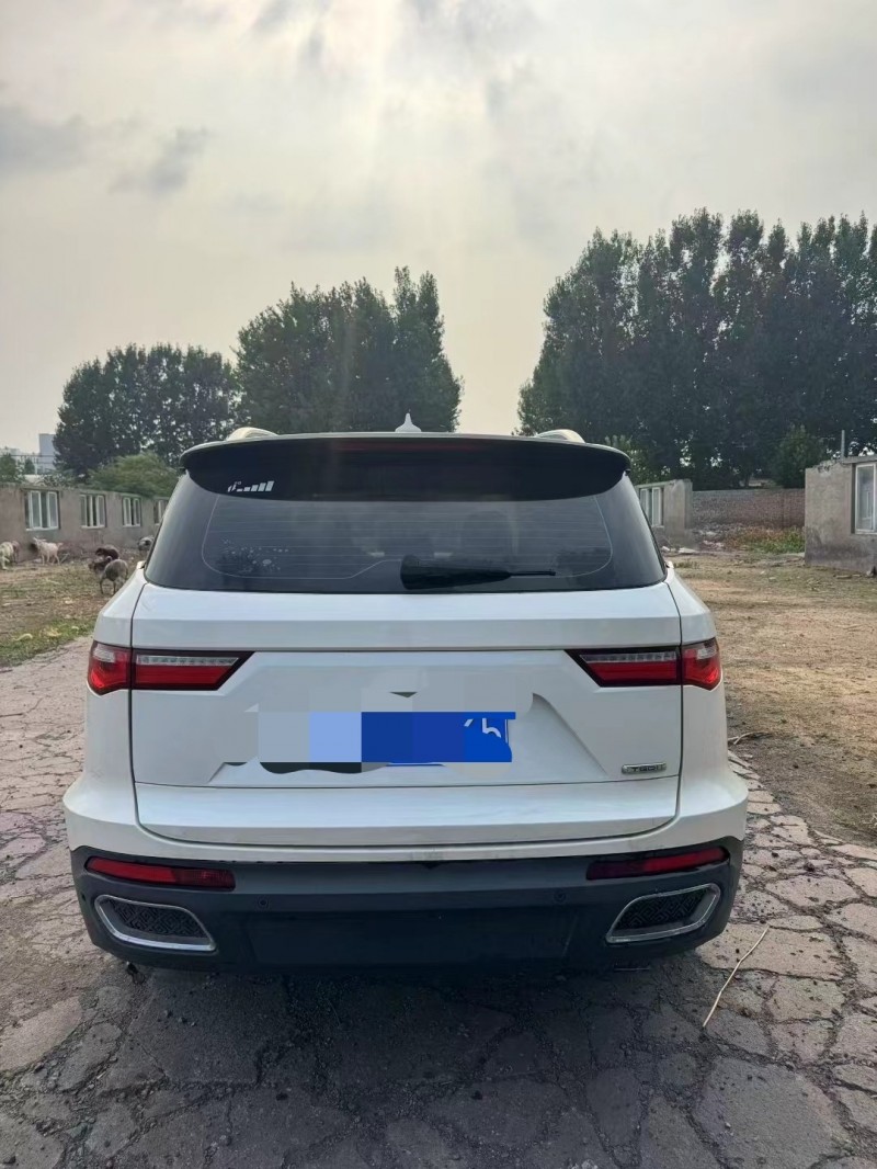 鹤壁18年众泰T8005