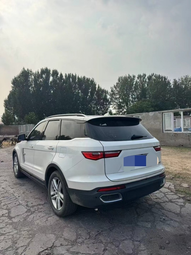 鹤壁18年众泰T8007