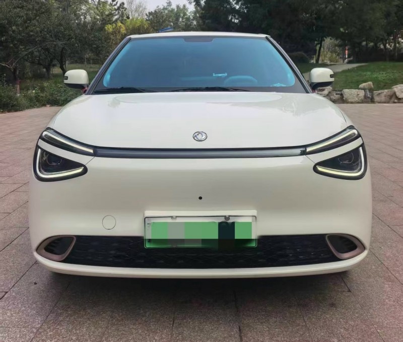 邢台24年东风纳米1