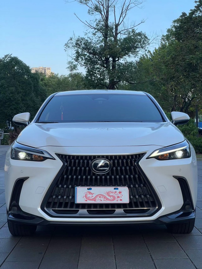 佛山23年雷克萨斯NX1