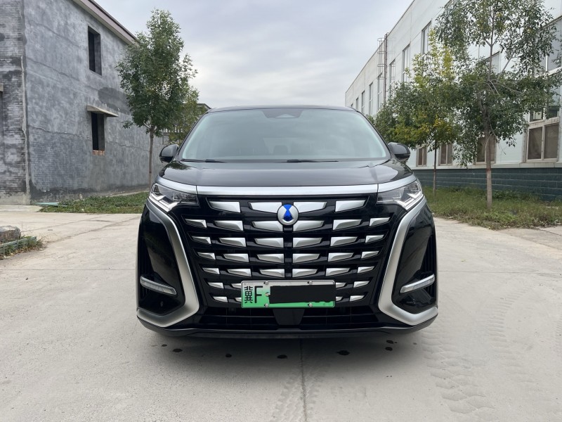 新乡24年腾势D91