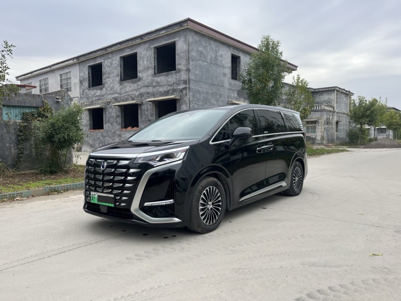 新乡24年腾势D92