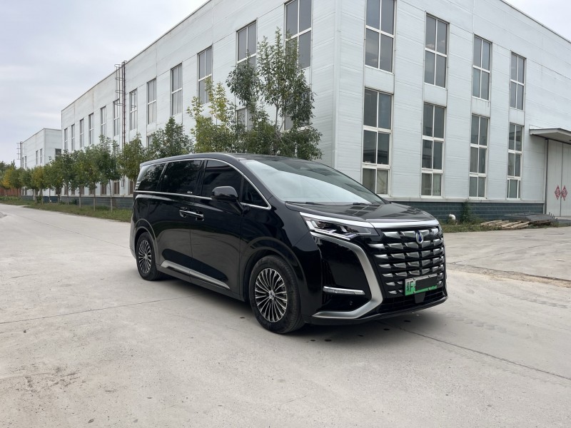 新乡24年腾势D93