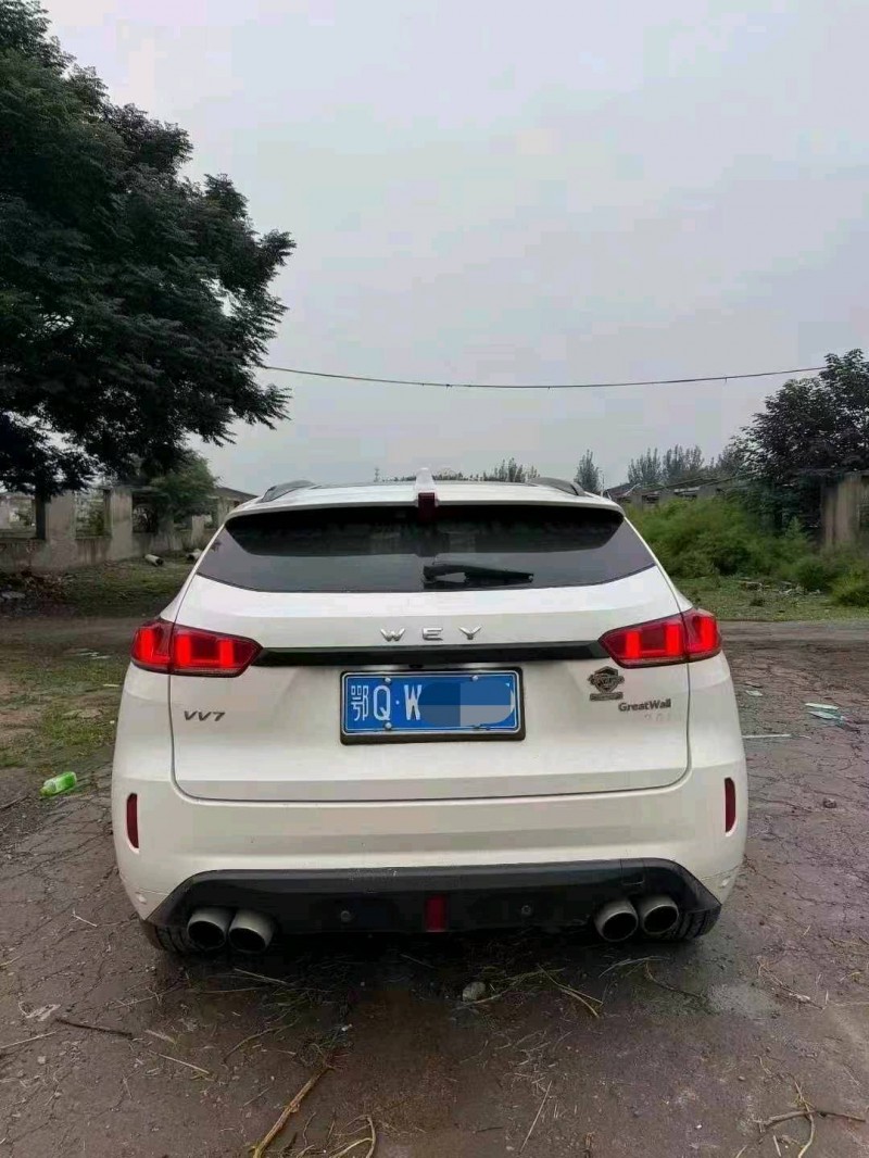 鹤壁18年长城汽车魏牌6