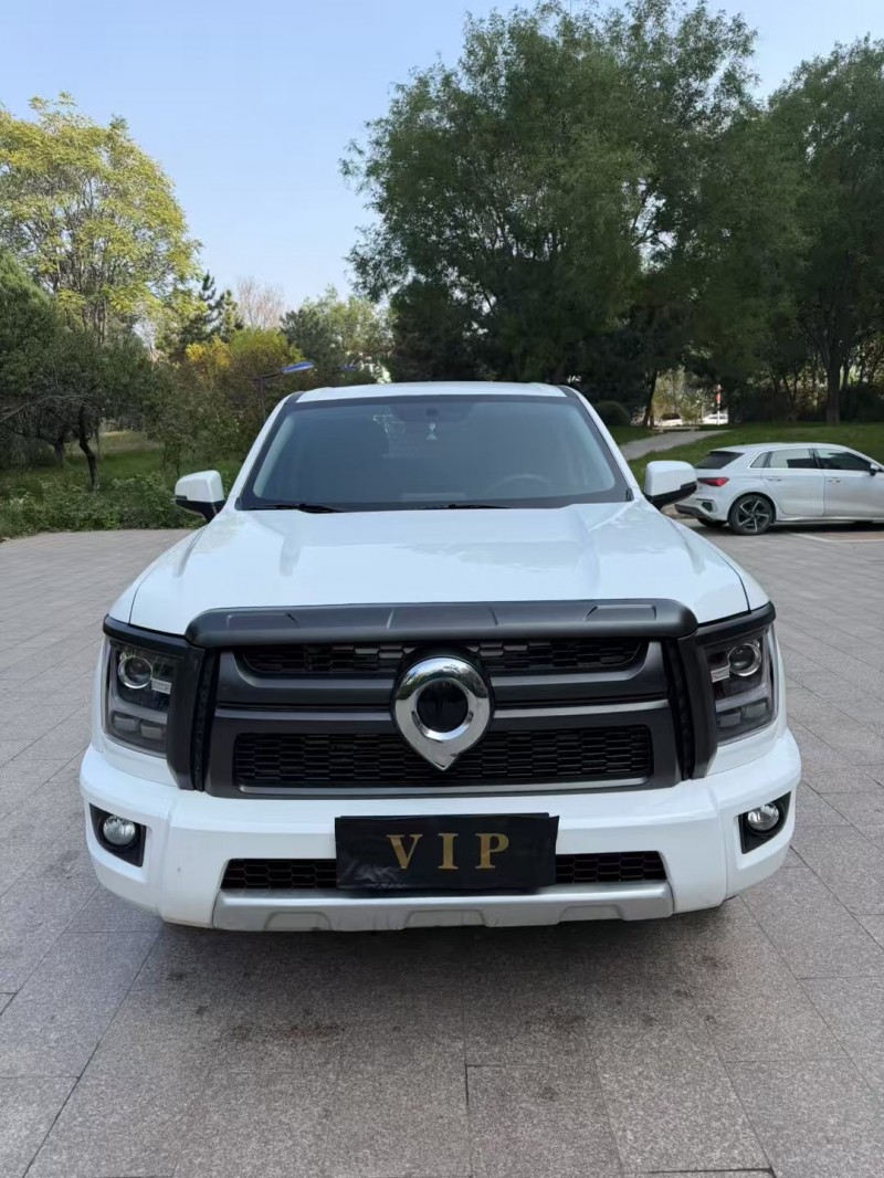 邢台25年长城汽车炮 皮卡1