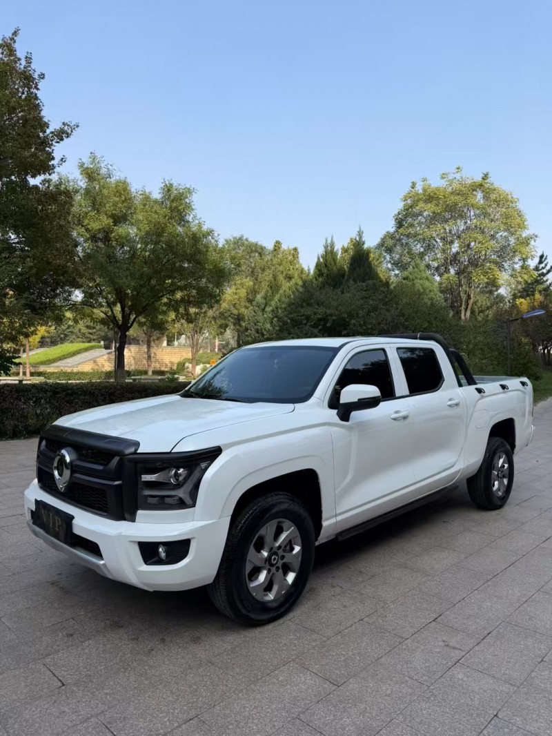 邢台25年长城汽车炮 皮卡2