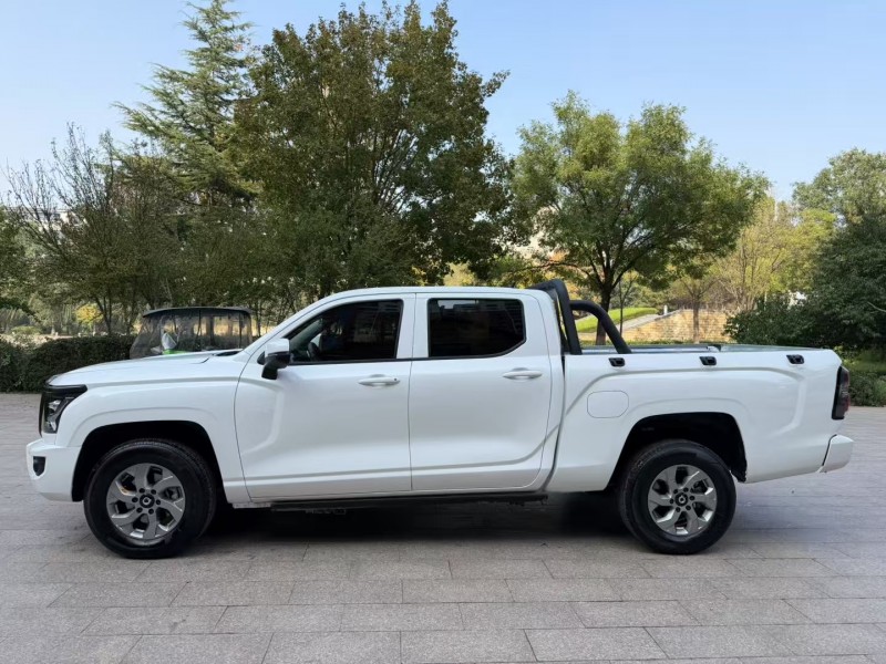 邢台25年长城汽车炮 皮卡5